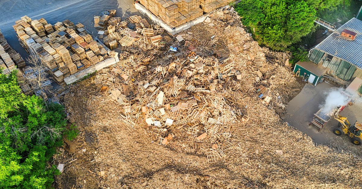 पाइल्स से संबंधित सब कुछ