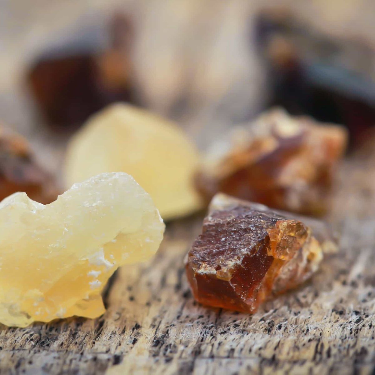 Unveiling the Power of Ayurvedic Herbs for Skincare