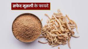 Safed musli ke fayde in Hindi? 1 सफेद मूसली