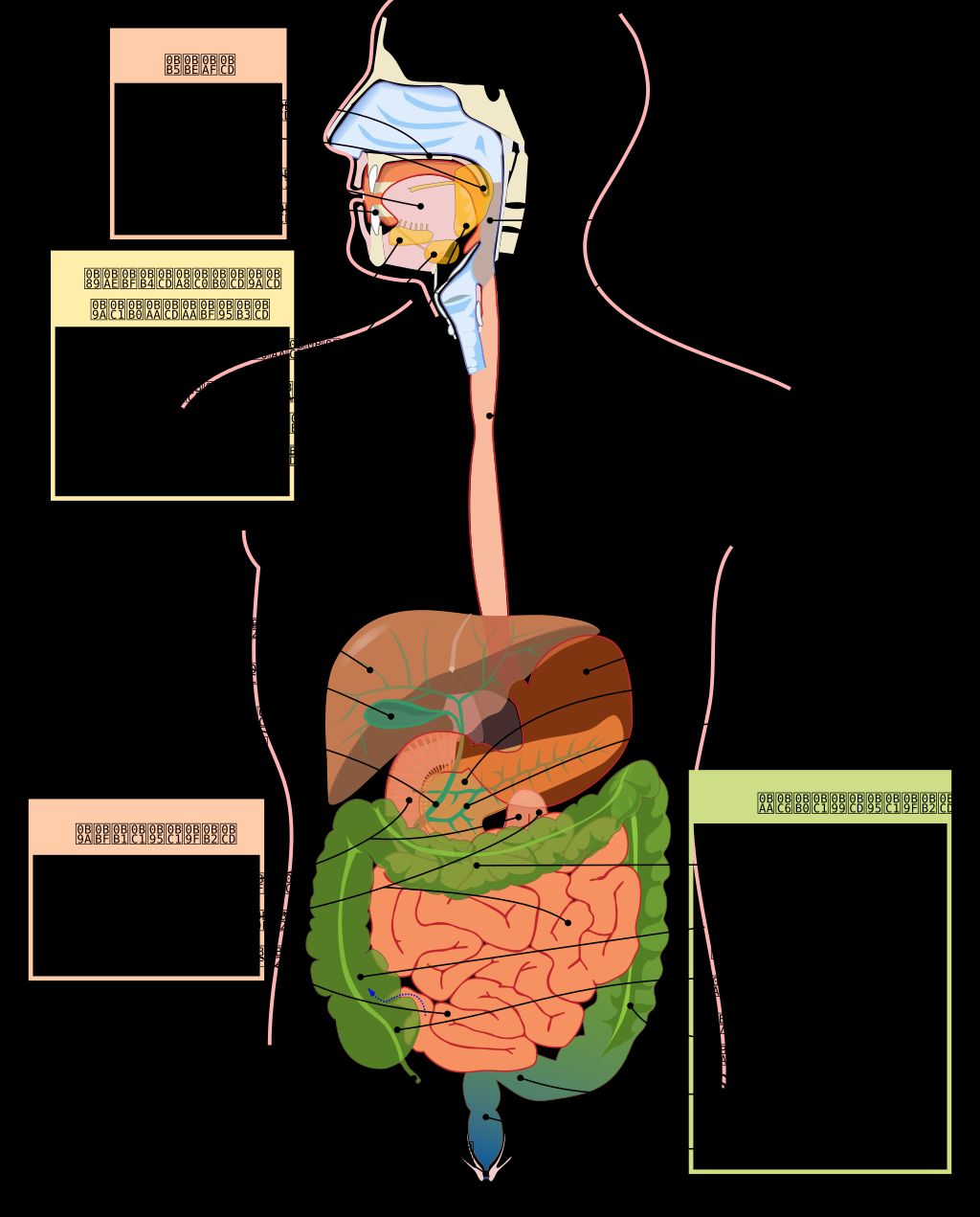 Promoting Digestive Health with Abhayadi Modak 1 Promoting Digestive Health with Abhayadi Modak