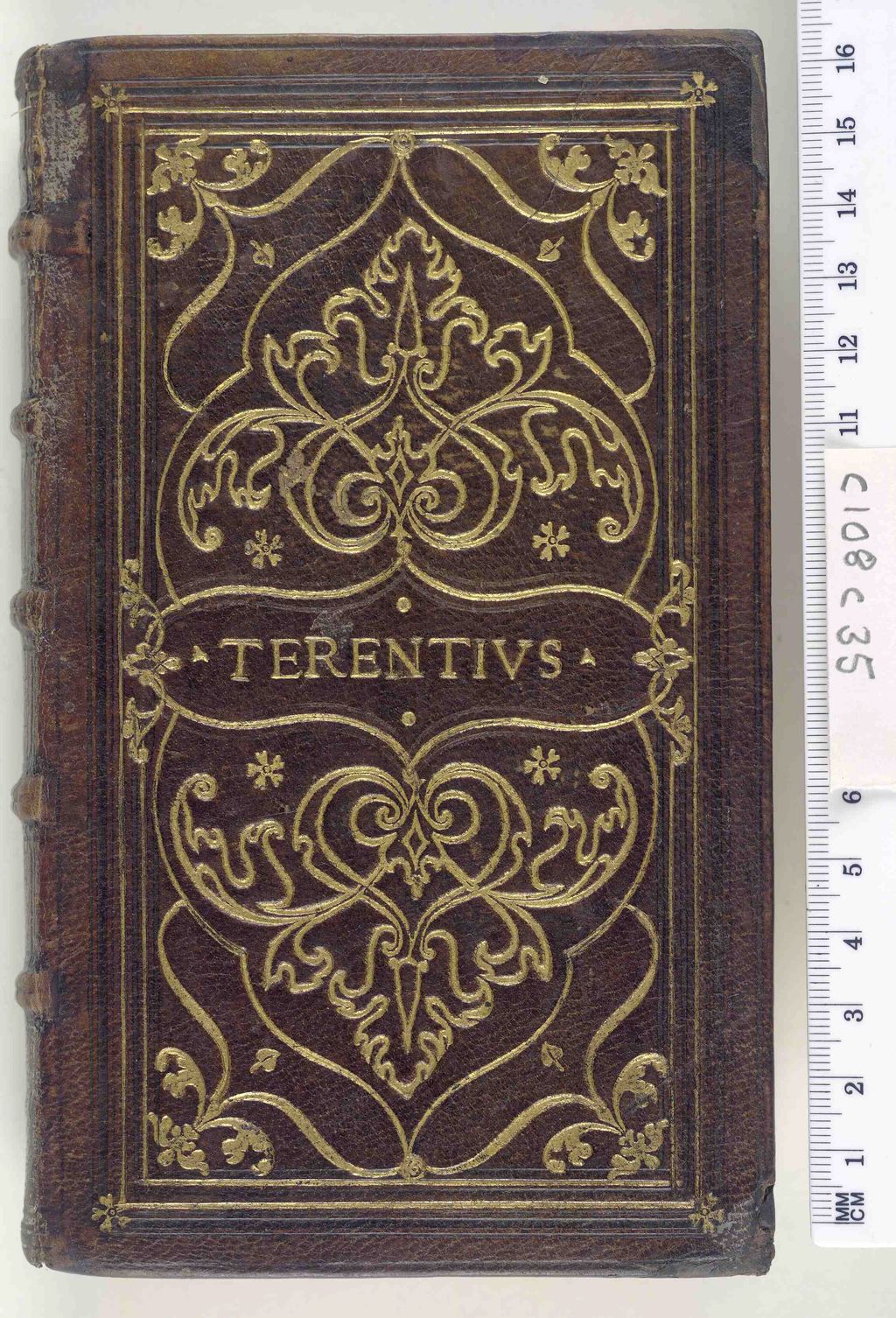 Unlock the Secrets of Vita Ex Gold