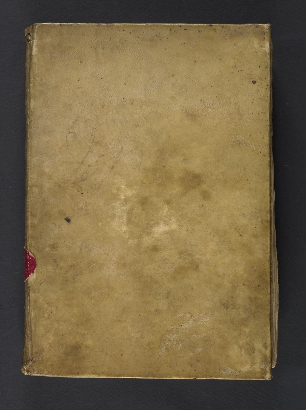 Experience the Power of Vita Ex Gold Capsules