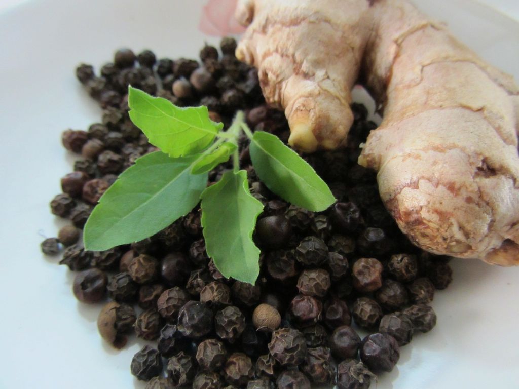 Kidney Stone Ayurvedic Medicine: Natural Relief and Prevention