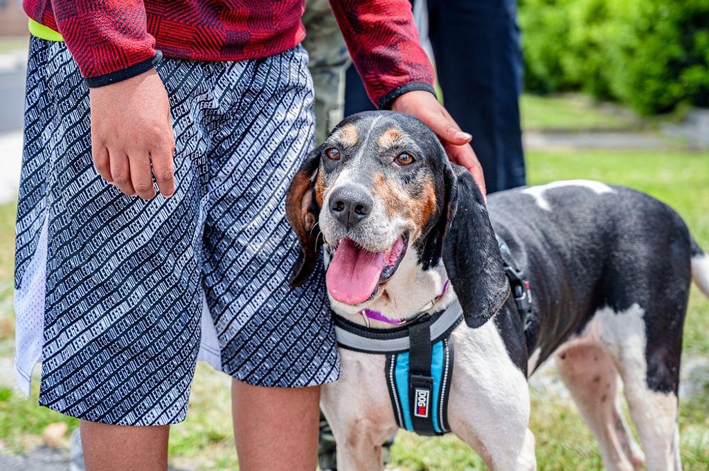 Unlock the Mystery of Tiger King Cream: Is the Original Formula Worth the Hype? 1 Unlock the Mystery of Tiger King Cream: Is the Original Formula Worth the Hype?