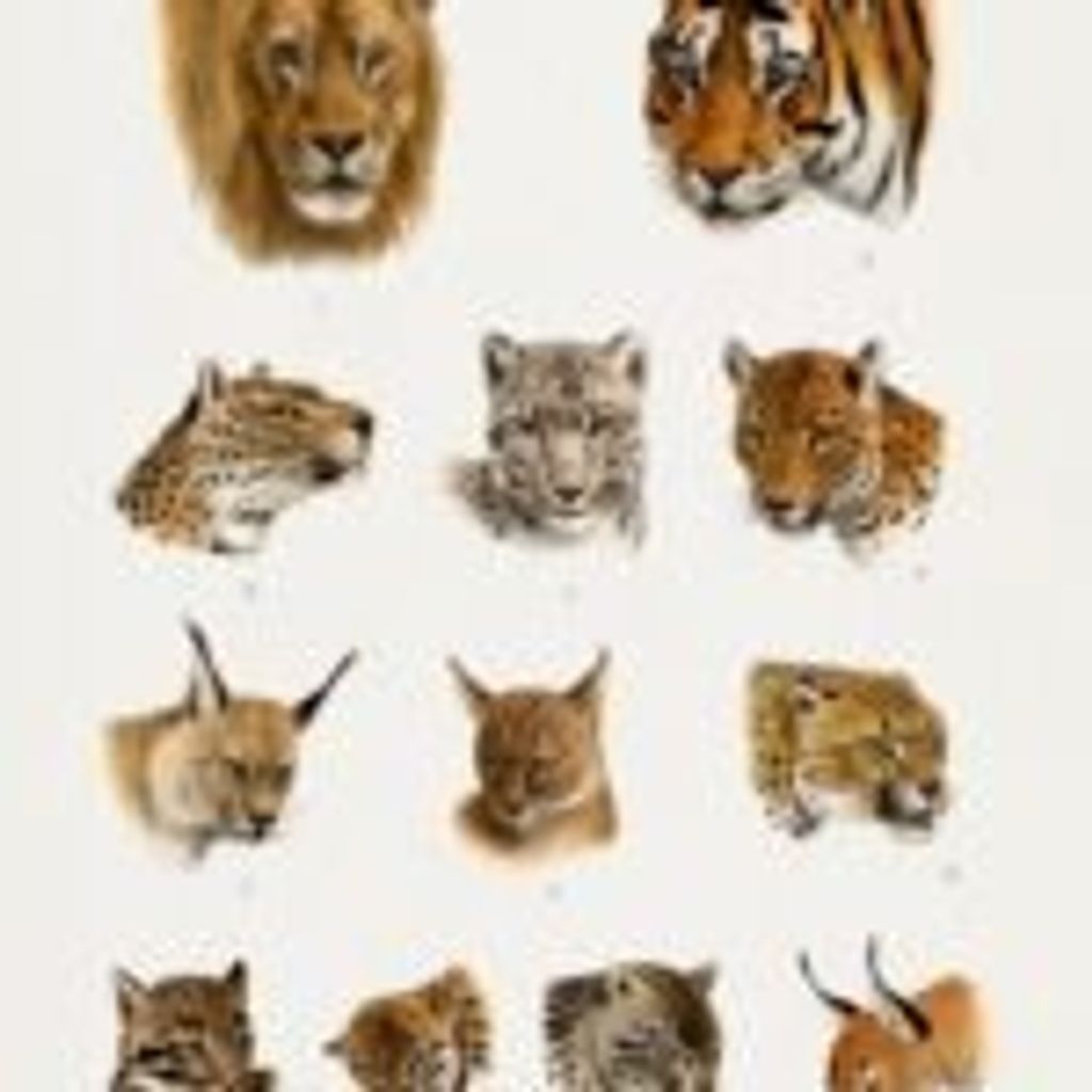 Labub Kabir Benefits for Men's Health 1 Labub Kabir Benefits for Men's Health