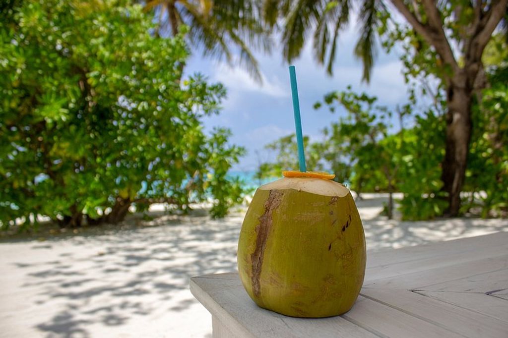 Refreshing Hydration: The Benefits of Drinking Plix Coconut Water