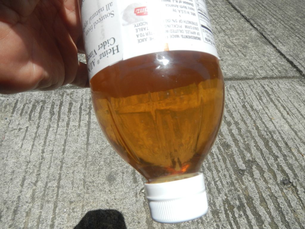 The Verdict on Plix Apple Cider Vinegar: Health Elixir or Just Hype? 1 The Verdict on Plix Apple Cider Vinegar: Health Elixir or Just Hype?