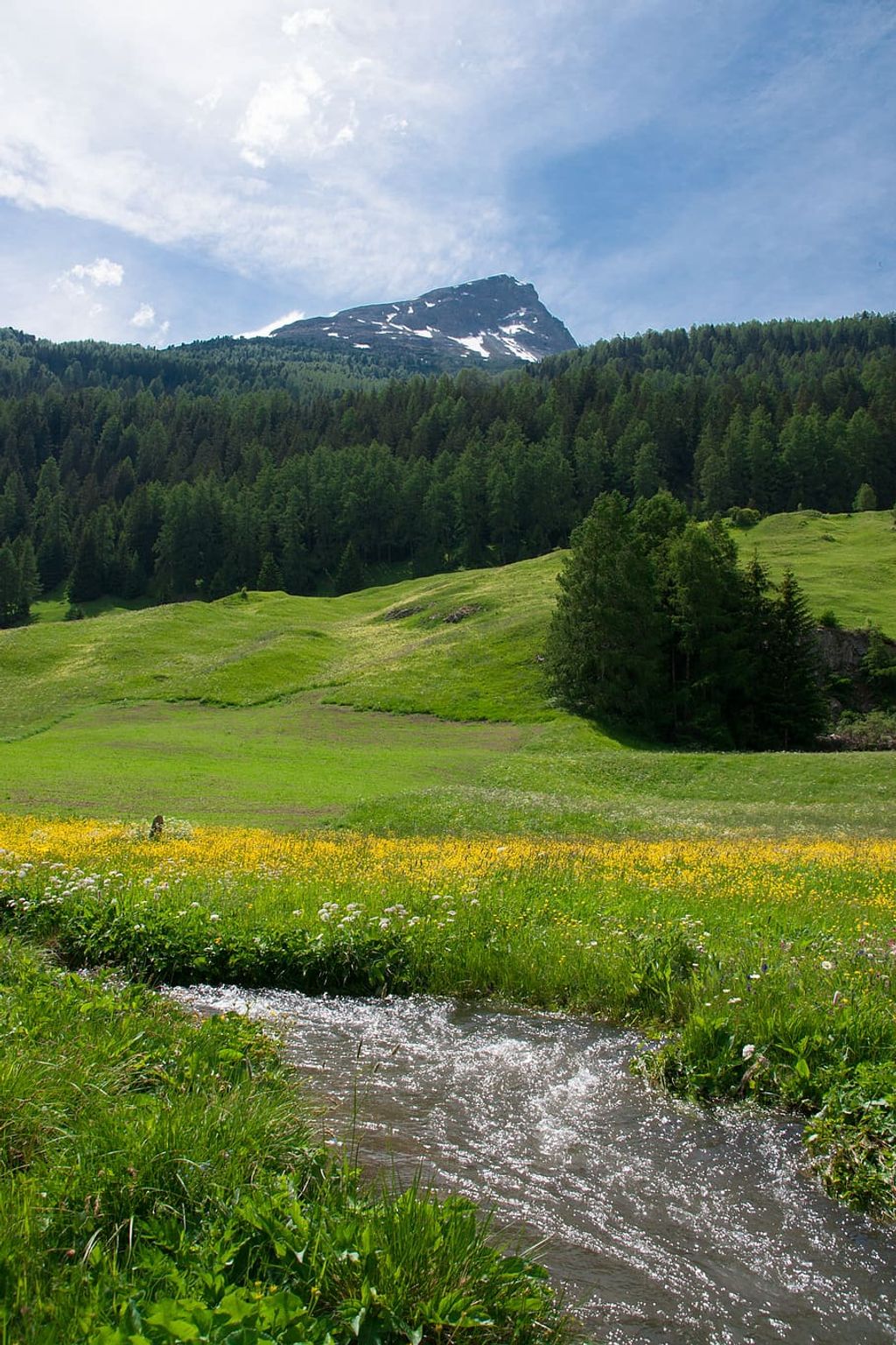 कपिवा हिमालयन शिलाजीत: स्वास्थ्यवर्धक फायदे 1 कपिवा हिमालयन शिलाजीत: स्वास्थ्यवर्धक फायदे