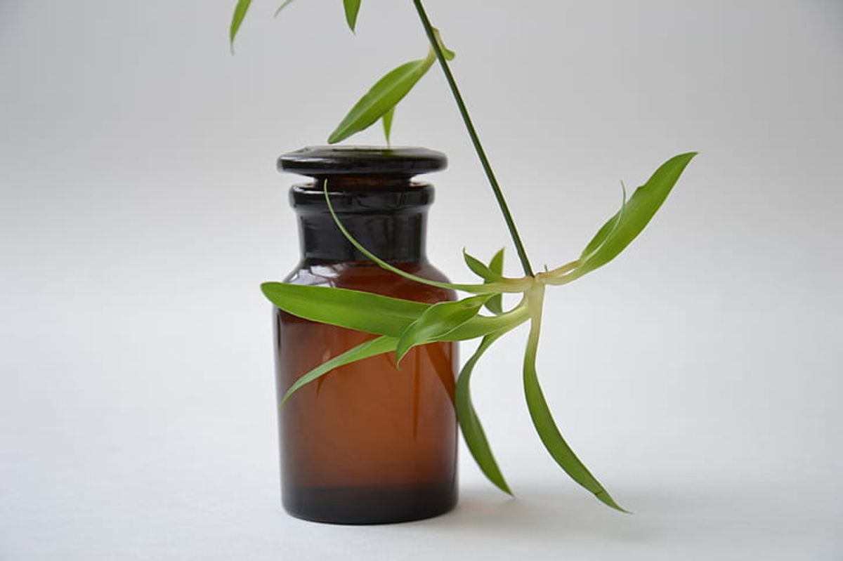 Soothing Relief: Dr. Jod Oil and Its Role in Overall Wellness