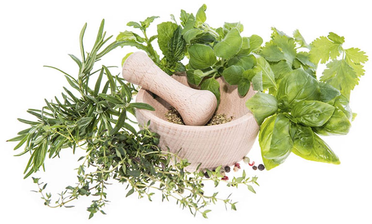 Herbal Remedy Face-off: Joshina or Joshanda for Your Cold?