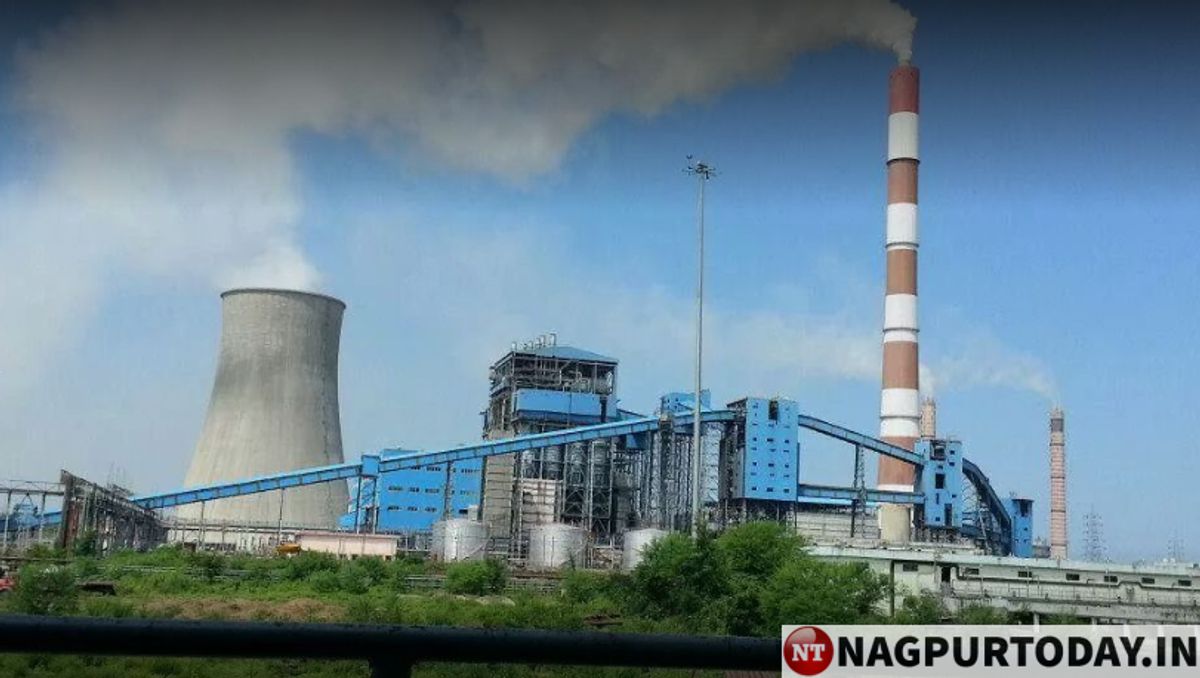 टाइगर पावर XXL कैप्सूल के उपयोग की जानकारी और उसके फायदे 1 टाइगर पावर XXL कैप्सूल के उपयोग की जानकारी और उसके फायदे