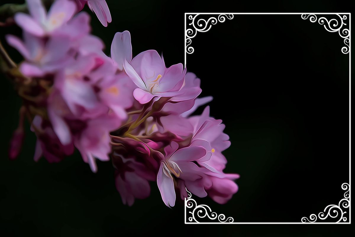 Unlocking Vigor: An Honest Review of Japani Double Power Oil 1 Unlocking Vigor: An Honest Review of Japani Double Power Oil