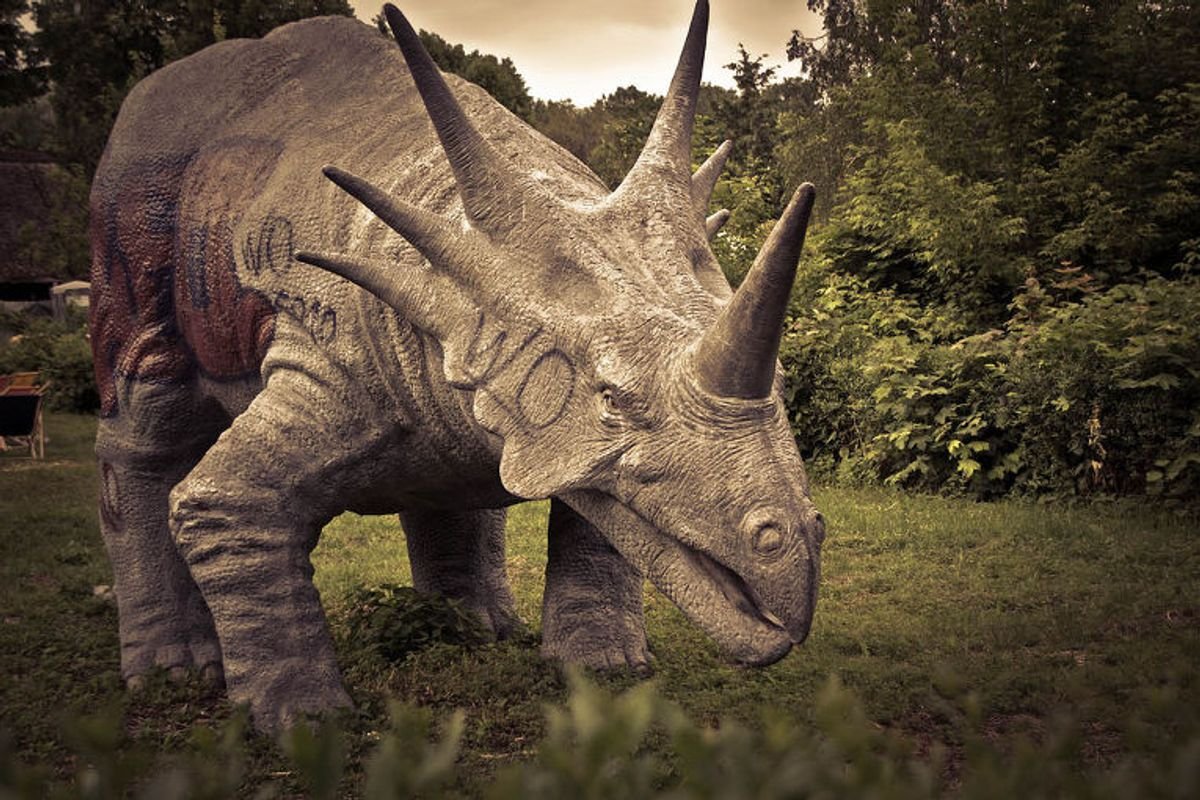 सुपरसोनिक कैप्सूल: इस्तेमाल के तरीके और फायदे हिंदी में