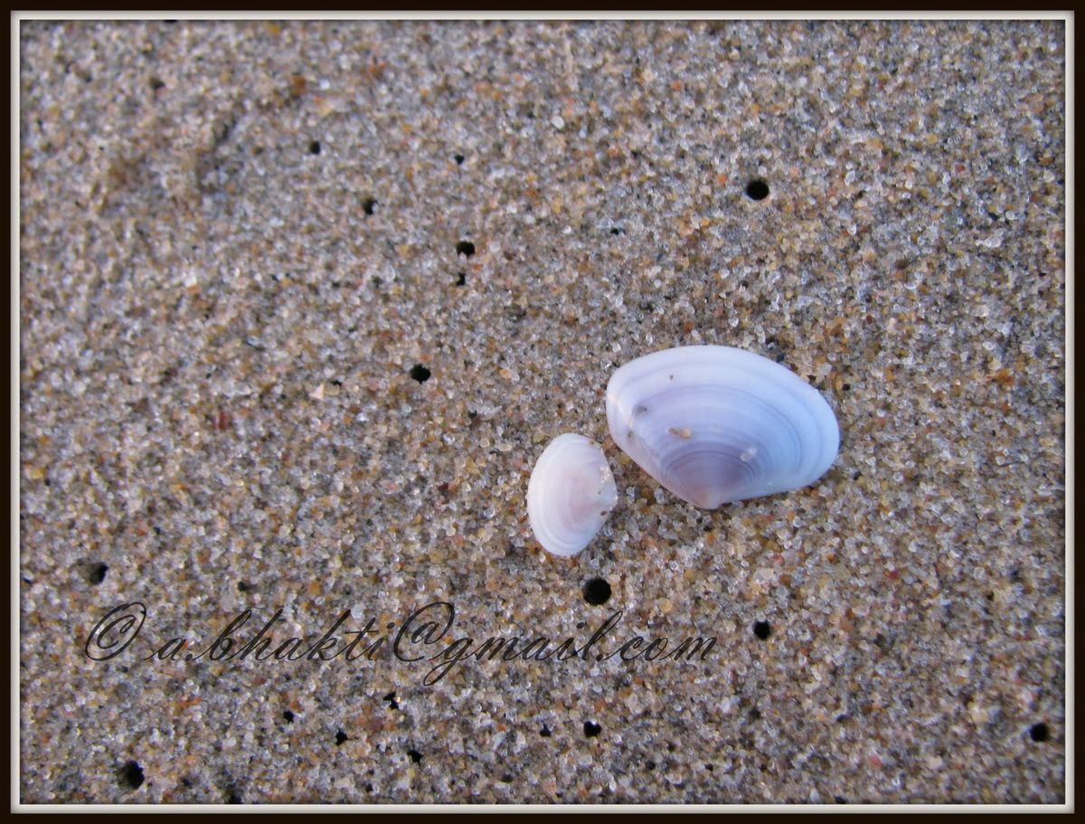 "लार्गो क्रीम की कीमत: बाज़ार में उपलब्धता और सर्वोत्तम डील्स का विवरण"