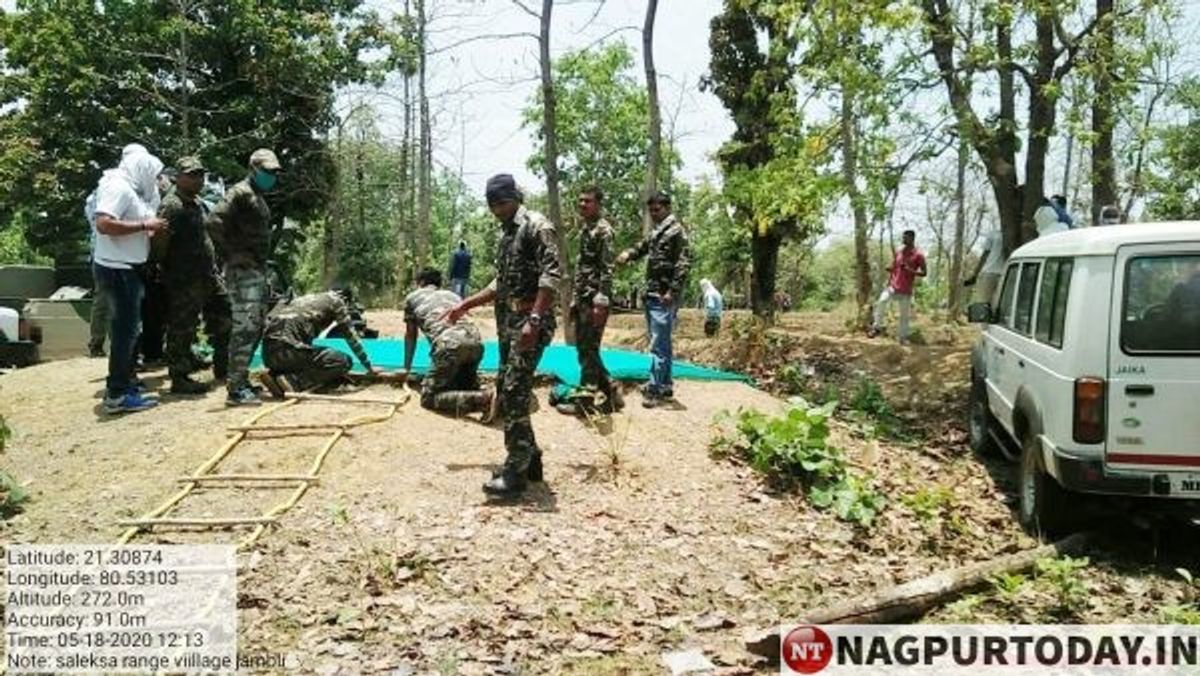 टाइगर मोमेंट क्रीम के उपयोग: हिंदी में विस्तृत गाइड 1 टाइगर मोमेंट क्रीम के उपयोग: हिंदी में विस्तृत गाइड