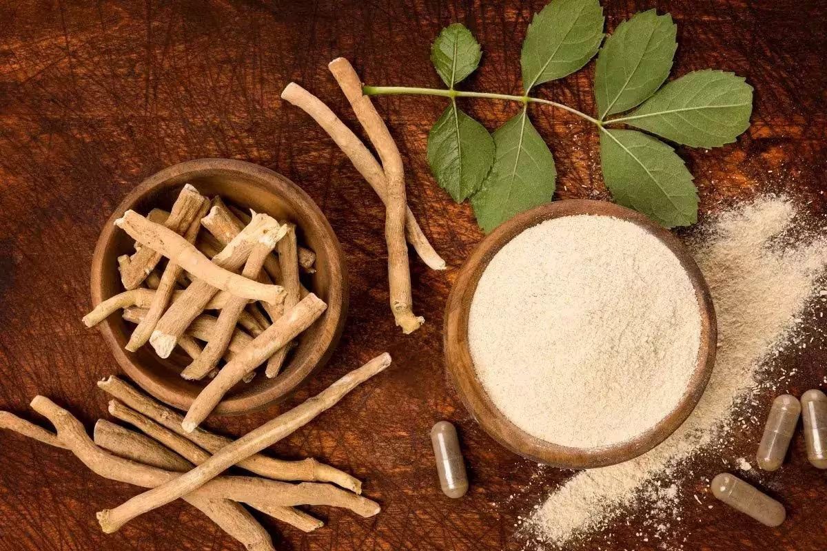 Unlock Virility: The Benefits of Virya Postic Churan