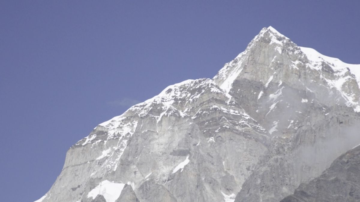 "असली शिलाजीत की कीमत: निवेश के पूर्व जानकारी जरूरी है!" 1 "असली शिलाजीत की कीमत: निवेश के पूर्व जानकारी जरूरी है!"