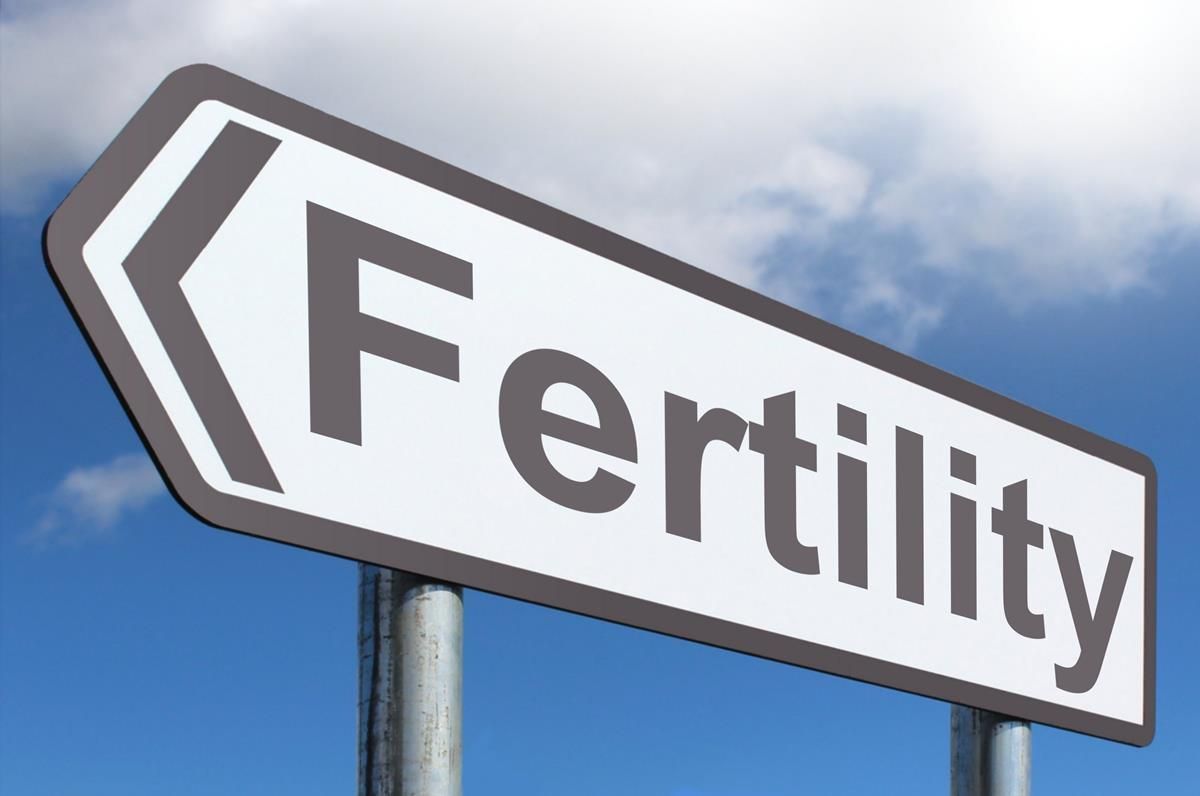 Boosting Fertility: The Top Tablets to Increase Sperm Count