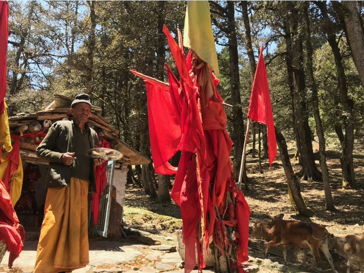 Soothing Steps: A Review on Himalaya Foot Cream for Soft, Crack-Free Heels