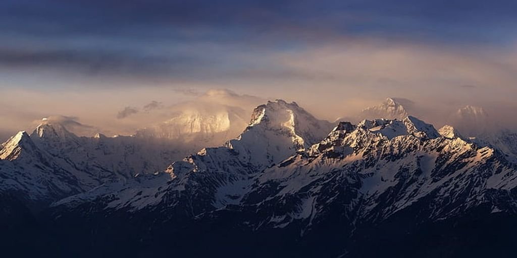 Himalaya Hadjod Tablet with traditional Indian herbs