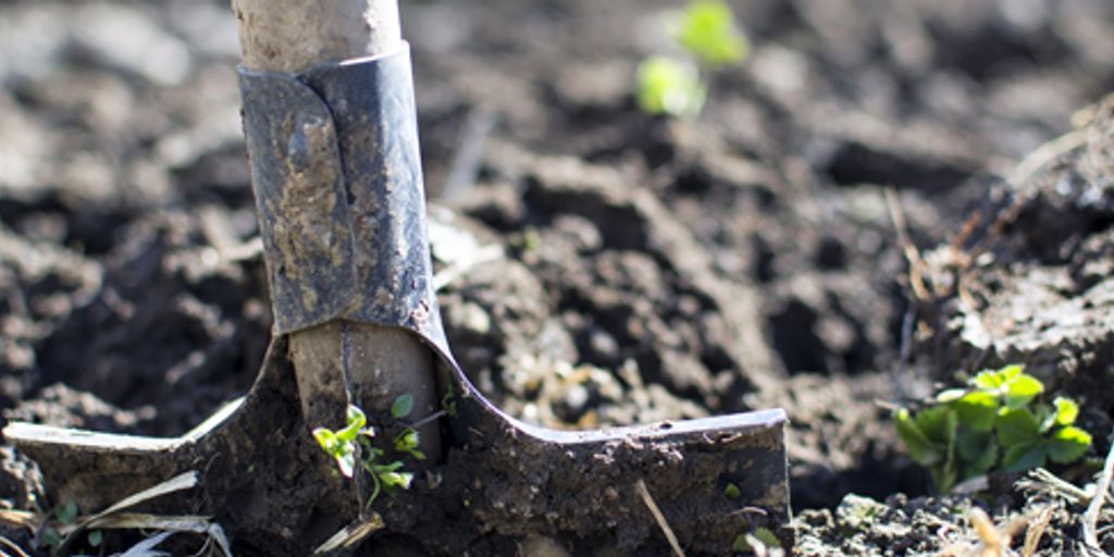 Shilajit gold capsules with Himalayan mountains in background