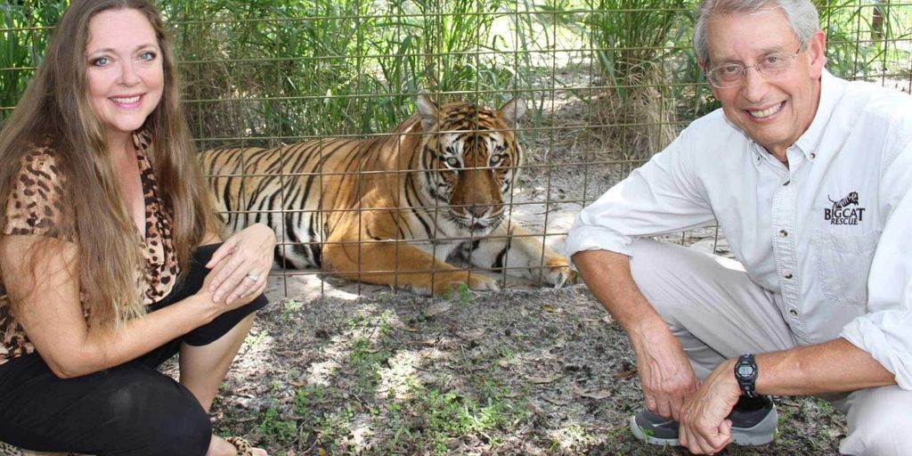 tiger king in jungle throne