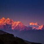 Himalaya Liv 52 tablets with Himalayan backdrop