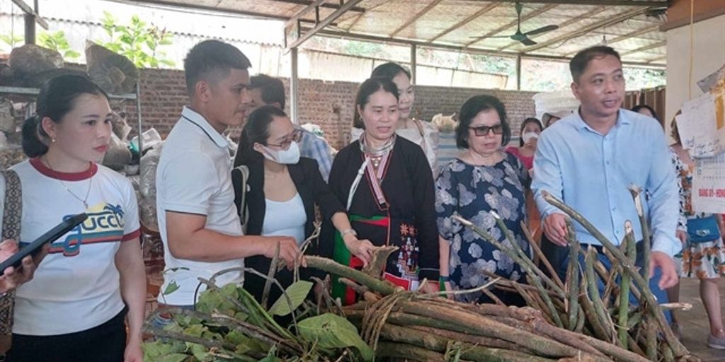 Safoof Bars: The Natural Path to Enhanced Health 1 herbal medicine