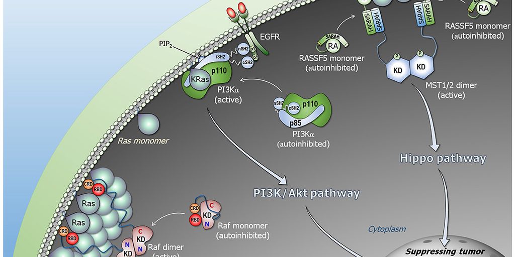 Baidyanath Vasant Kusumakar Ras tablets