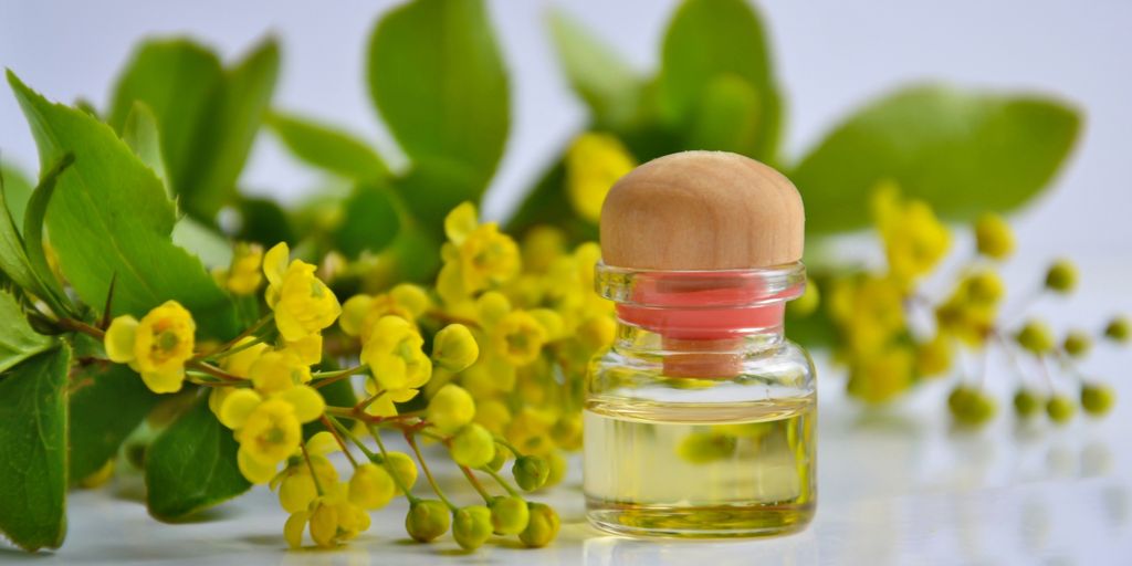 turpentine oil in medicine