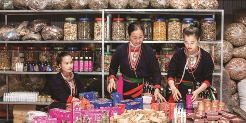 Majun Jalali: Traditional Medicine for Modern Ailments 1 traditional medicine herbs