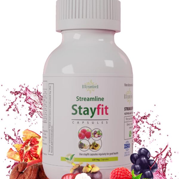 STAYFIT Multivitamin CAPSULES With Natural Ginseng, Zinc,Vitamins & Minerals For Daily Energy, Stamina & Immunity