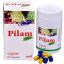 pilam-2.jpg